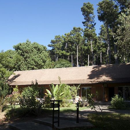 Hotel Lodge Au Bois Vert Antananarivo International Airport Ivato エクステリア 写真